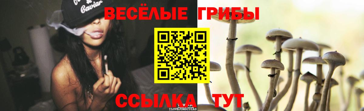 Псилоцибиновые грибы Magic Shrooms Рубцовск